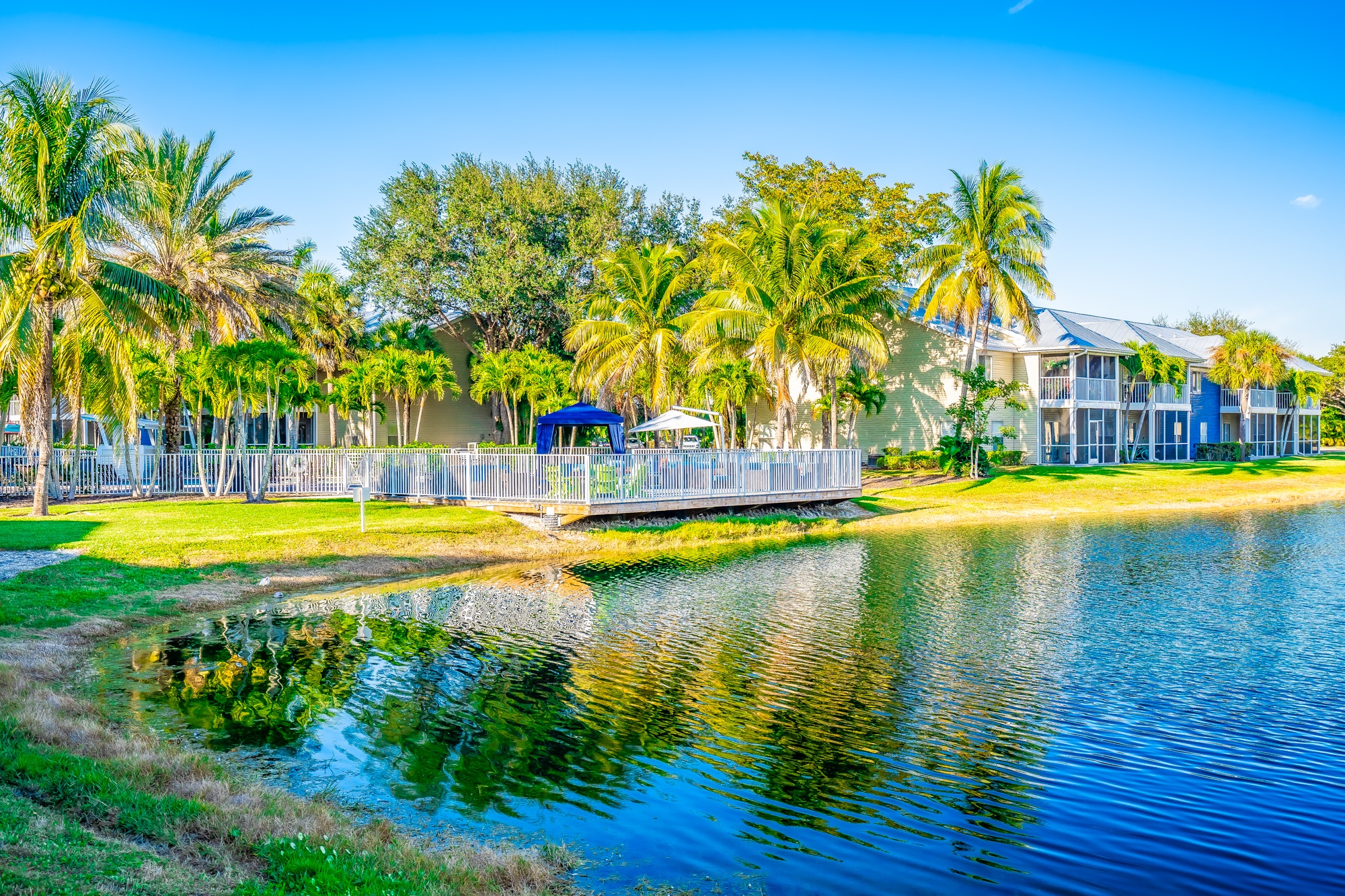 A serene lake surrounded by lush greenery and palm trees under a clear blue sky.